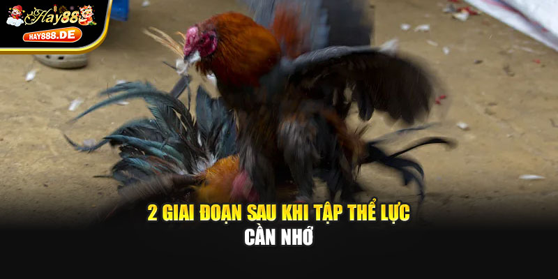 2 giai đoạn sau khi tập thể lực cần nhớ