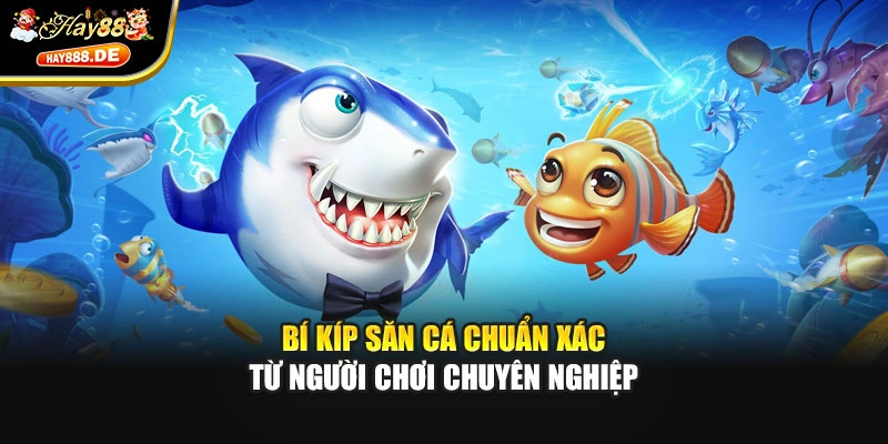 Bí kíp săn cá chuẩn xác từ người chơi chuyên nghiệp