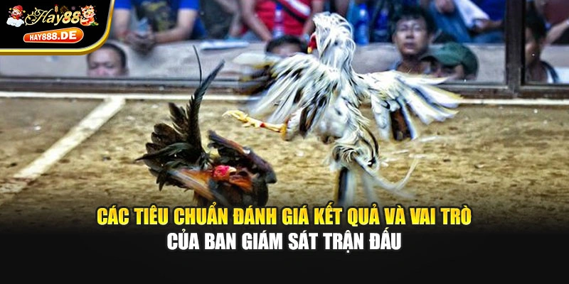 Các tiêu chuẩn đánh giá kết quả và vai trò của ban giám sát trận đấu