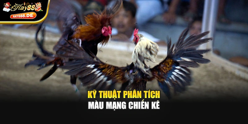 Kỹ thuật phân tích màu mạng chiến kê