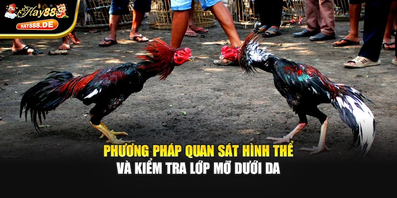 Phương pháp quan sát hình thể và kiểm tra lớp mỡ dưới da