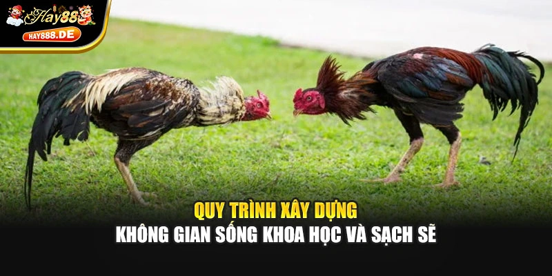 Quy trình xây dựng không gian sống khoa học và sạch sẽ