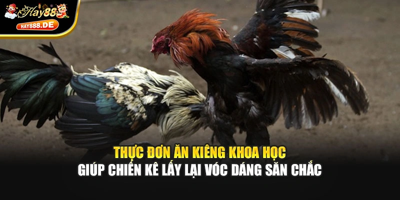 Thực đơn ăn kiêng khoa học giúp chiến kê lấy lại vóc dáng săn chắc