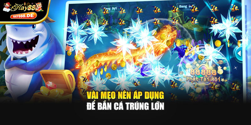 Vài mẹo nên áp dụng để bắn cá trúng lớn