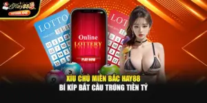Xỉu Chủ Miền Bắc Hay88 - Bí Kíp Bắt Cầu Trúng Tiền Tỷ